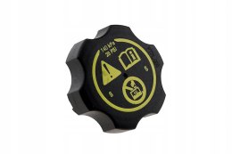 Korek zbiornika wyrównawczego Insignia Adam Aveo Cruze Orlando Spark Astra