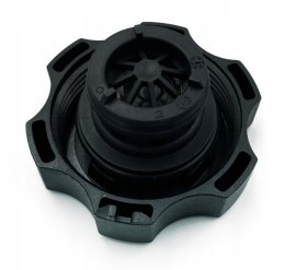 Korek zbiornika wyrównawczego Insignia Adam Aveo Cruze Orlando Spark Astra