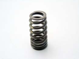 Sprężyna zaworu głowicy 1.8 2.0 BMW N43 E60 E61 E90 E91 E92 E93 E81 E88 E87