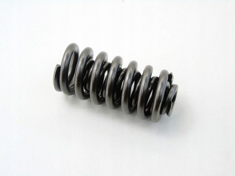 Sprężyna skrzyni biegów 62TE Pacifica Town Country Voyager Caravan Avenger