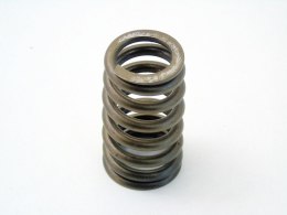 Sprężyna zaworu 4.0 V6 Pacifica Nitro Town Country Routan Voyager Caravan