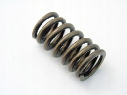 Sprężyna zaworu 4.0 V6 Pacifica Nitro Town Country Routan Voyager Caravan