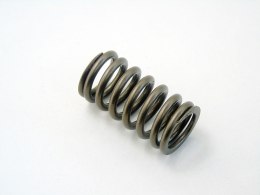 Sprężyna zaworu głowicy 1.4 Grande Punto Panda Qubo Doblo Fiorino Idea Musa