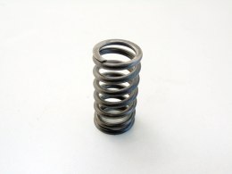 Sprężyna zaworu głowicy 1.9 Jtdm Alfa 159 Gt 147 Croma Bravo 2 Stilo Astra