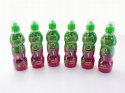 6x Napój Palionek Palion o smaku Dragon fruit i borówki 6 sztuk po 300 ml