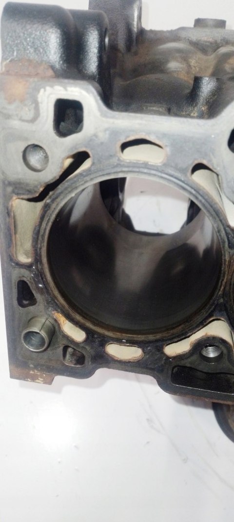 Blok silnika Z16XEP 1.6 Astra H G Meriva Vectra C Zafira 24427722