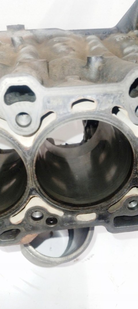 Blok silnika Z16XEP 1.6 Astra H G Meriva Vectra C Zafira 24427722