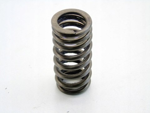 Sprężyna zaworu głowicy 1.5 T Bmw 1 2 3 4 X1 X2 Mini F54 F55 F56 F57 F60