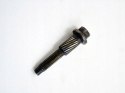 ŚRUBA MOSTKA WAŁKA 1.6 VTI CITROEN C4 C3 207 308 3008 5008 MINI PICASSO