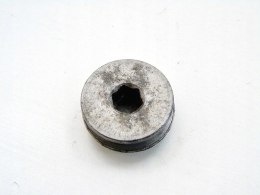 KOREK ZAŚLEPKA OBUDOWY RZRZĄDU 1.6 BMW N43B16 E87 E90 E91 E92 E81 116 316
