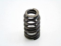 SPRĘŻYNA ZAWORU 1.6 VTI CITROEN C4 C3 207 308 3008 5008 MINI PICASSO