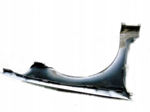 BŁOTNIK LEWY PRZÓD TEB64 RENAULT LAGUNA II 1.9 dci BŁOTNIK LEWY PRZÓD TEB64 RENAULT LAGUNA II 1.9 dci