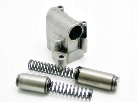 NAPINACZ ŁAŃCUCHA 2.0 D BMW E46 E39 320 520 318 D NAPINACZ ŁAŃCUCHA 2.0 D BMW E46 E39 320 520 318 D