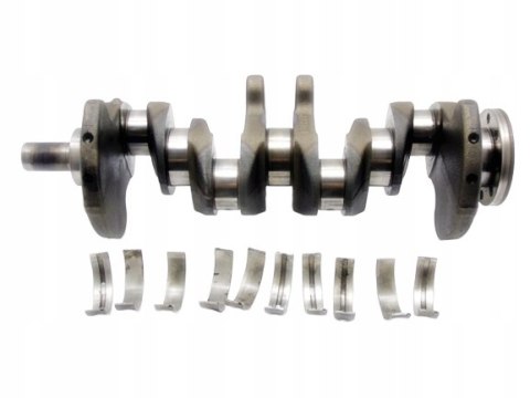 WAŁ KORBOWY 1.7 CDI A KLASA W168 VANEO A170 A160 WAŁ KORBOWY 1.7 CDI A KLASA W168 VANEO A170 A160